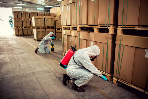 Best Best Pest Control Companies  in Murrieta, CA