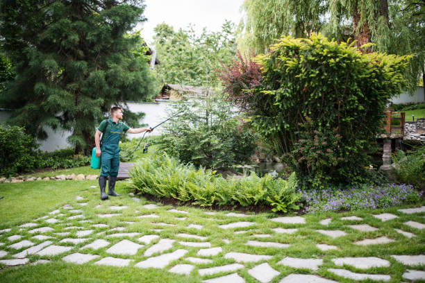 Best Exterminator Services  in Murrieta, CA