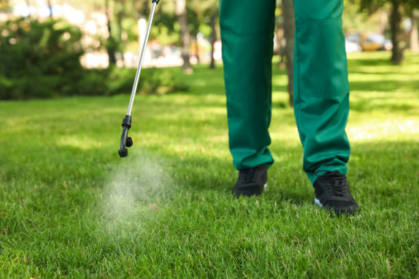 Best Residential Pest Control  in Murrieta, CA