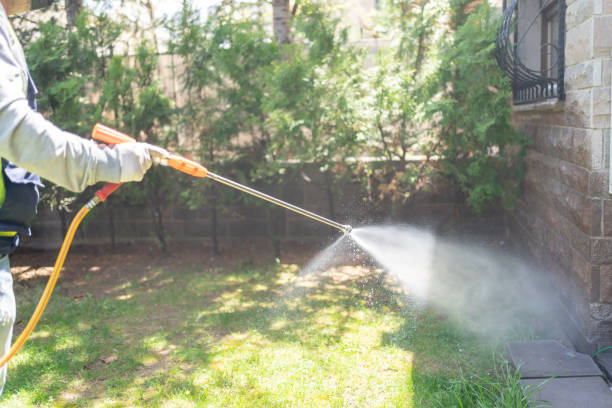 Pest Control for Restaurants in Murrieta, CA