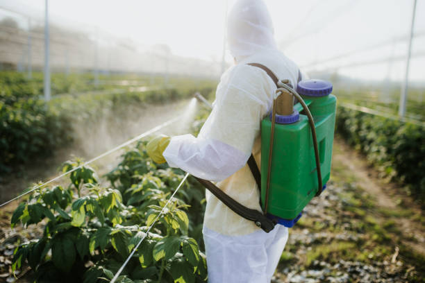Best Commercial Pest Control Services  in Murrieta, CA